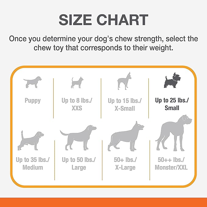 Nylabone Power Chew Flavor Frenzy Bone Chew Toy for Dogs, Indestructible Chew Toys for Aggressive Chewers, Bacon Cheeseburger & Apple Pie Flavor, Small/Regular - Up to 25 Ibs. (2 Count) - PAWPICO