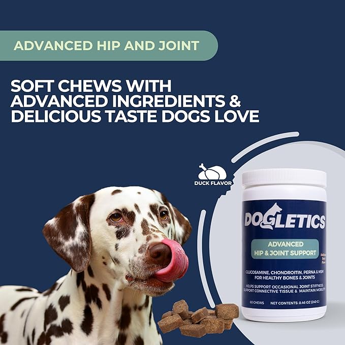 Advanced Hip & Joint Supplements for Dogs, USA Made with Glucosamine & Green Lipped Muscle for Mobility Health, 60ct Dogletics