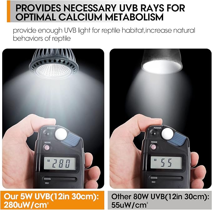 Premium High-Intensity UVB Reptile Light for Optimal Calcium Metabolism,5-Watt 10.0 Desert UVB Light Ideal for Desert-Dwelling Reptiles Bearded Dragons Tortoises (Desert 10.0 UVB) GeeKoit