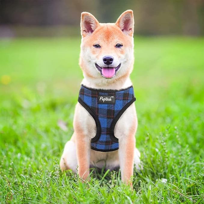 PUPTECK Soft Mesh Dog Harness and Leash Set Pet Puppy Cat Comfort Padded Vest No Pull Harnesses, Navy Blue, L PUPTECK