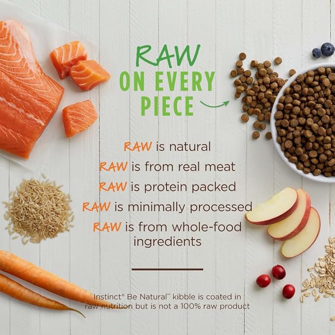 Instinct Be Natural Real Salmon & Brown Rice Recipe Natural Dry Dog Food, 24 lb. Bag - PAWPICO