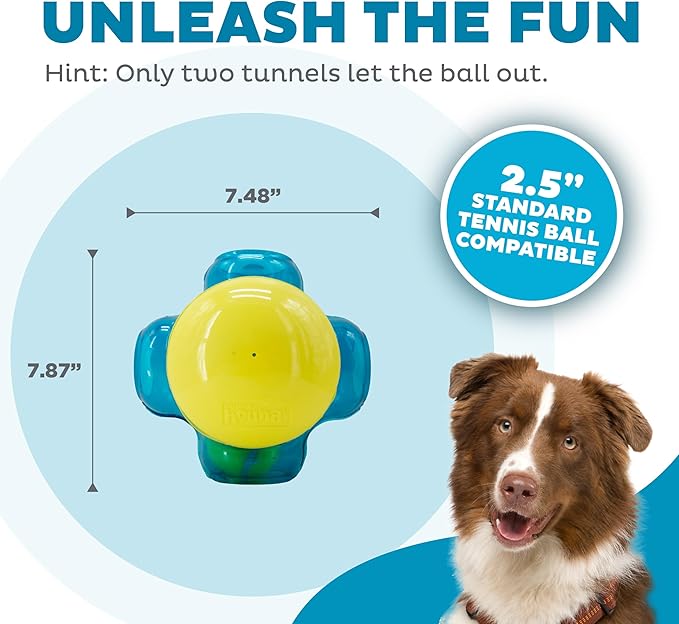 Outward Hound Tennis Maze Craze Interactive Squeaky Dog Toy, Green - PAWPICO