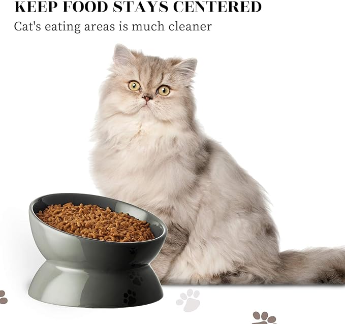 Y YHY Dog Food Bowl, Raised Dog Bowls Anti Vomiting, 7 Inch Tilted Elevated Dog Bowl, Ceramic Pet Food Bowl for Small Medium Large Dogs and Cats, Grey - PAWPICO