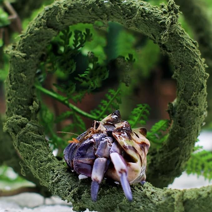 Hermit Crab Climbing Toys, Bendable Hermit Crab Climbing Vine, Hermit Crab Tank Accessories Wenriko