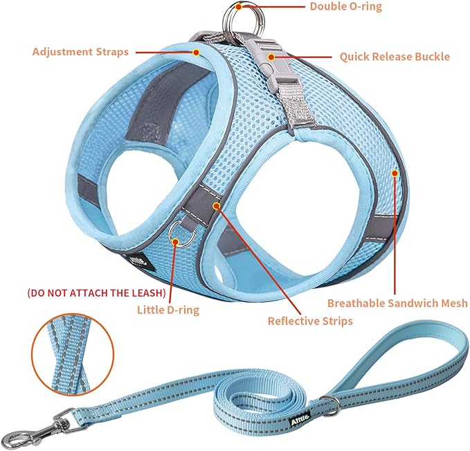AIITLE Small Harness for Puppy with A Leash - Spring Dog Vest Harness with Super Breathable Mesh, Reflective No-Pull Pet Harness for Outdoor Walking, Camping for Small Dogs, Cats Pure Blue XXS AIITLE-FORPETSBETTERLIFE
