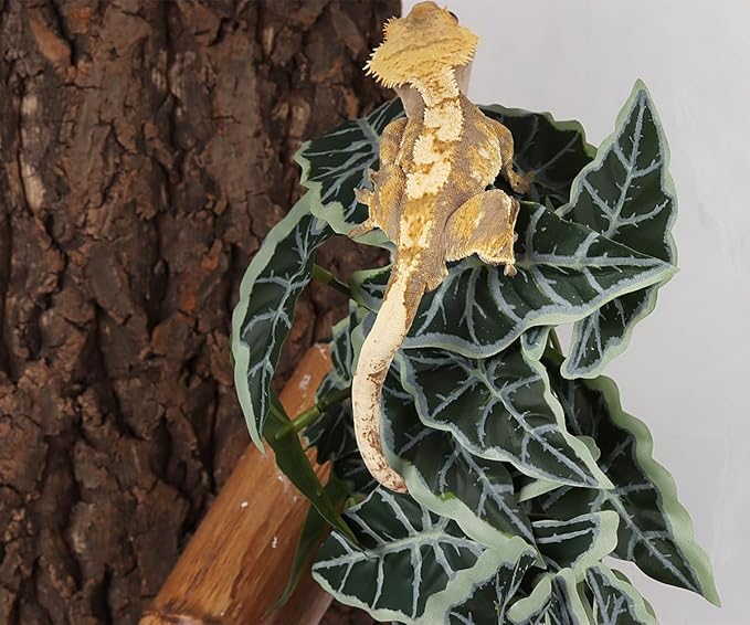 Reptile Plants for Terrarium, Amphibian Habitat Decor Artificial Hanging Plants with Suction Cup - Fake Alocasia Black Velvet WOLEDOE