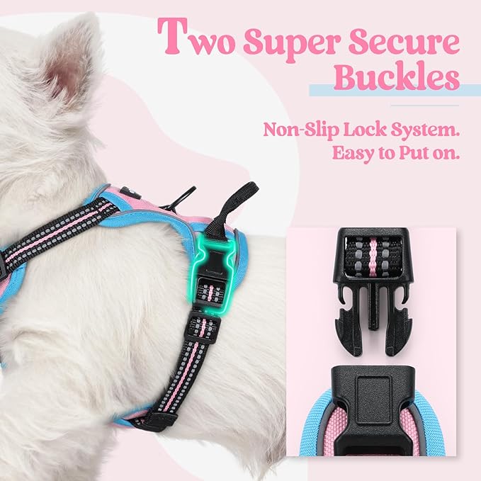 rabbitgoo Dog Harness No Pull with 2 Leash Clips, Adjustable Soft Padded, Reflective Oxford No Choke Pet Vest with Easy Control Handle for Puppy, Pink & Blue, XS rabbitgoo
