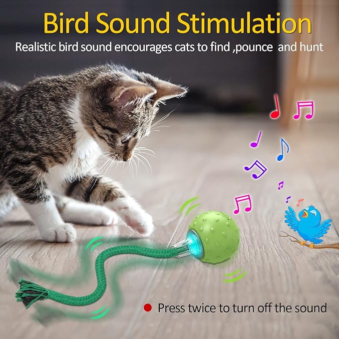Interactive Cat Toys for Bored Indoor Adult Cats, Automatic Fast Move On Carpet, Bird Chirping & Motion Activated Cat Ball - PAWPICO