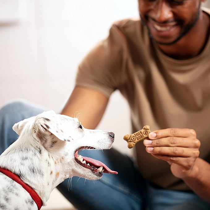 Milk-Bone Flavor Snacks Dog Treats, Small Biscuits, 7 Pound Crunchy Texture Helps Reduce Tartar (Pack of 2) - PAWPICO