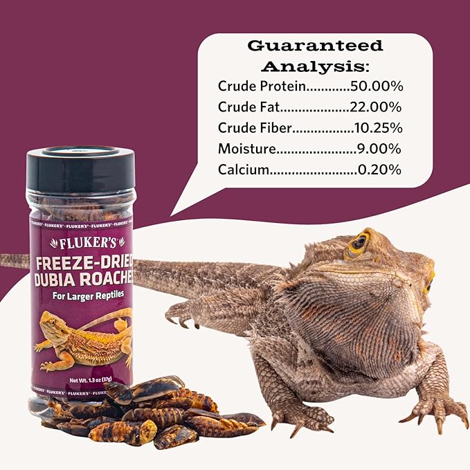 Fluker's Freeze Dried Dubia Roaches, Ideal for Lizards, Reptiles, Birds, Fish, Hedgehogs, 1.7 oz Flukers