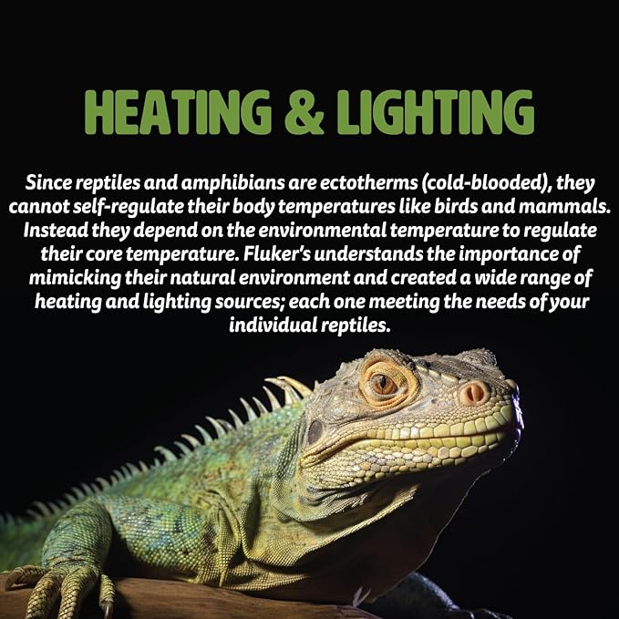 Fluker's Incandescent Reptile Lighting, Full Spectrum Daylight Bulb for Reptiles, Made with Neodymium, Provides Infrared Light, 60-Watt Flukers