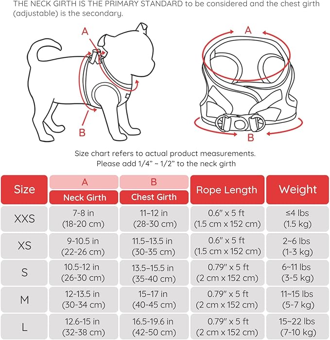 BELLA & PAL Puppy Harness with Leash Set, Dog Harness for Small Dogs No Pull, Dog Leash for Small Dogs, Step in Harness for Extra Small Dogs, Red Harness, M BELLAPAL