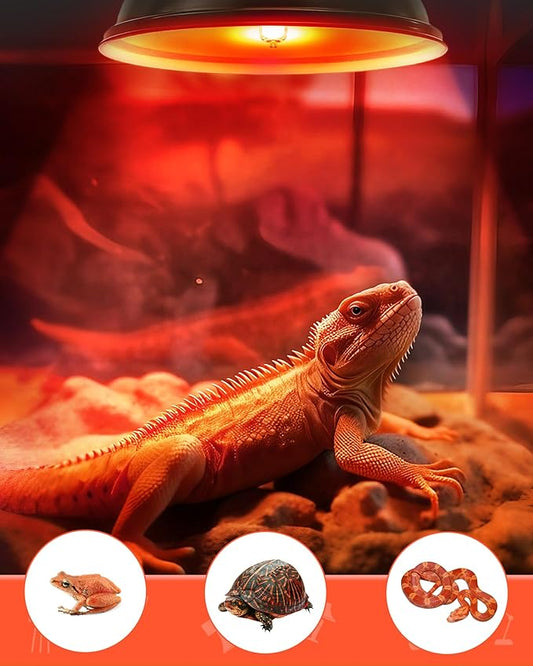 Flaspar G9 Reptile Heat Lamp Bulbs 50W 120V, Dimmable Red Night Light UVA Infrared Heat Lamp, 2 Pin Base Mini Heat Bulb for Bearded Dragon, Turtle, Leopard Gecko, Snake, Lizard, 2 Pack Flaspar