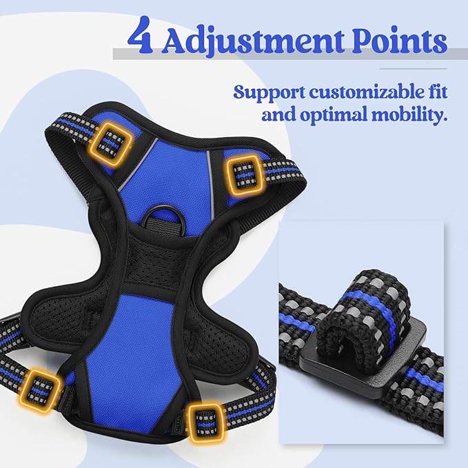 rabbitgoo Dog Harness No Pull with 2 Leash Clips, Adjustable Soft Padded, Reflective Oxford No Choke Pet Vest with Easy Control Handle for Puppy, Dazzling Blue,XS rabbitgoo