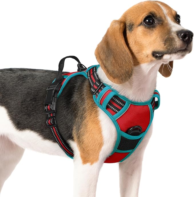 rabbitgoo Dog Harness, No-Pull Pet Harness with 2 Leash Clips, Adjustable Soft Padded Dog Vest, Reflective No-Choke Pet Oxford Vest with Easy Control Handle for Large Dogs, Red & Teal, M - PAWPICO