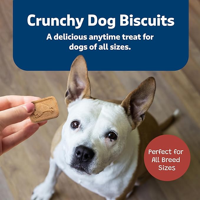 Blue Buffalo Mini Health Bars Crunchy Dog Biscuits, Oven-Baked With Natural Ingredients, Bacon, Egg & Cheese, 2-lb Box - PAWPICO