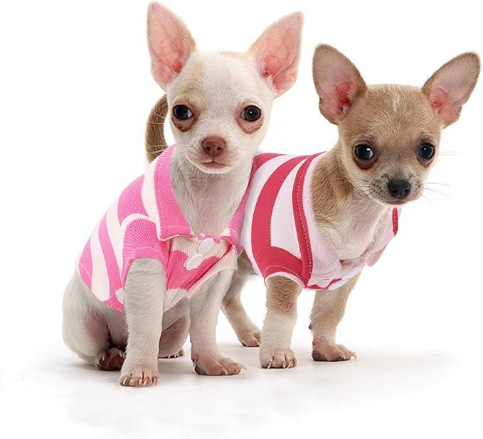2 Pack Guinea Pig Clothes Rabbit Summer T-Shirt Pet Costume Vest for Small Animal Kitten Ferret Chihuahua Puppy KAMABRIDAL