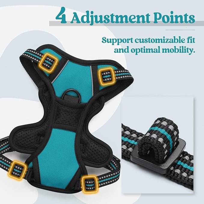 rabbitgoo Dog Harness No Pull with 2 Leash Clips, Adjustable Soft Padded, Reflective Oxford No Choke Pet Vest with Easy Control Handle for Puppy, Teal, XS rabbitgoo