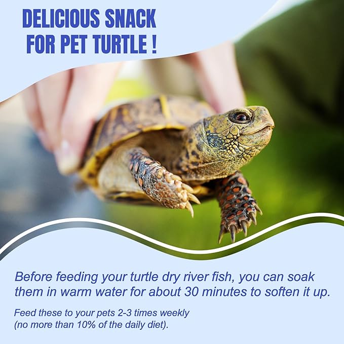 Amzey 3 Pack 0.8Oz (Total 2.4Oz or 68Gram Dried River Fish - Natural Food for Turtles, Terrapins, Reptiles and Large Tropical Fish Amzey