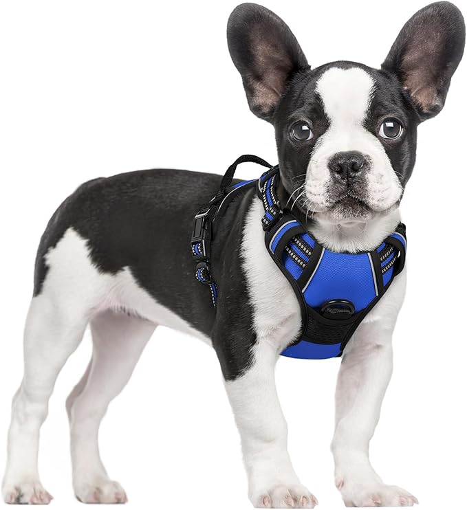 rabbitgoo Dog Harness No Pull with 2 Leash Clips, Adjustable Soft Padded, Reflective Oxford No Choke Pet Vest with Easy Control Handle for Small Dogs, Dazzling Blue, S rabbitgoo