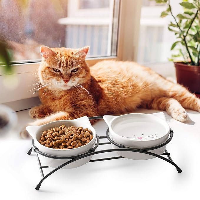 Y YHY Raised Cat Food Bowls,Pet Bowls with Stand,Ceramic Cat Dog Bowls Elevated,Cute Cat Dishes,12 Ounces,Dishwasher Safe - PAWPICO