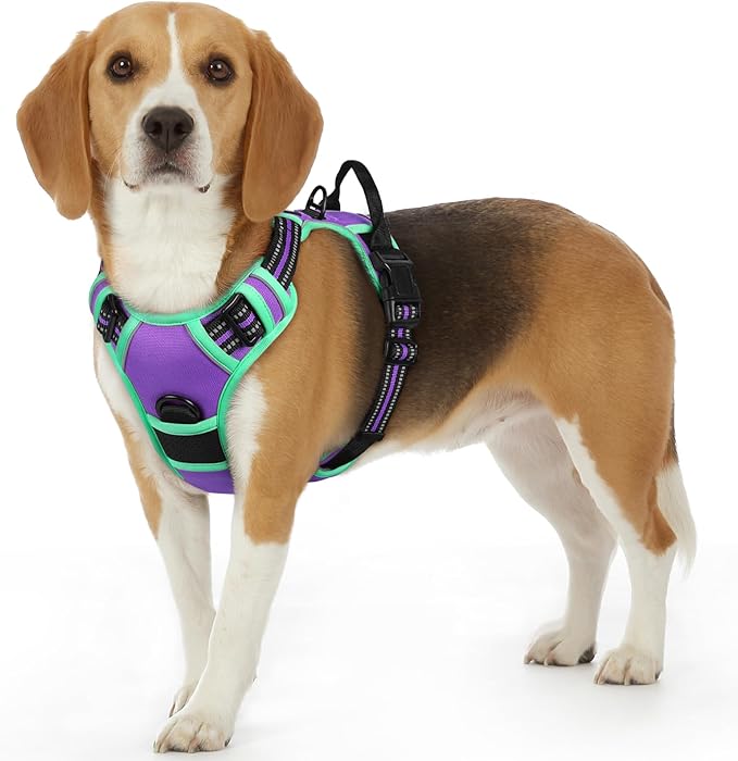 Eagloo Dog Harness for Large Dogs, No Pull Service Vest with Reflective Strips and Control Handle, Adjustable and Comfortable for Easy Walking, No Choke Harness with 2 Metal Rings, Purple & Green, S GoExplorewithEagloo