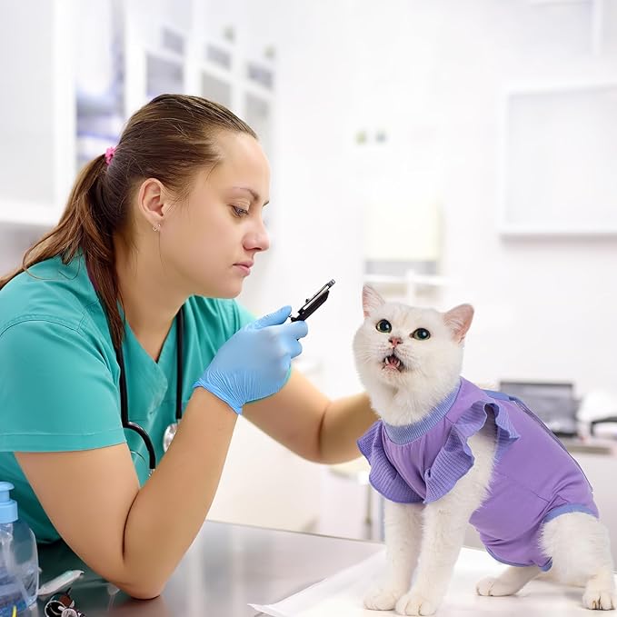 Avont Cat Recovery Suit - Post-Surgery Onesie for Cats, Alternative to Cone of Shame, Protective Spay Suit for Female Kitten, Ideal for Healing and Skin Conditions -Purple(L) Avont