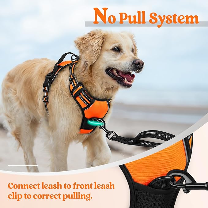 rabbitgoo Dog Harness No Pull with 2 Leash Clips, Adjustable Soft Padded, Reflective Oxford No Choke Pet Vest with Easy Control Handle for Small Dogs,Orange,S rabbitgoo