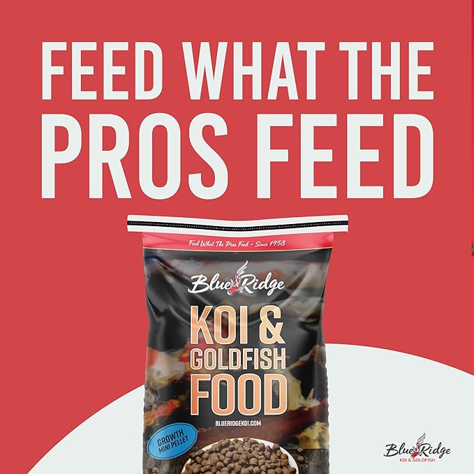 Blue Ridge Koi Fish Food 25lb - Koi Food Mini Growth Formula Goldfish Food, Premium Fish Food for Ponds, Ponds Fish Food, Koi Food Fall and Winter Fish Food, Floating Pond Pellets Fish Food BlueRidgeFishHatchery