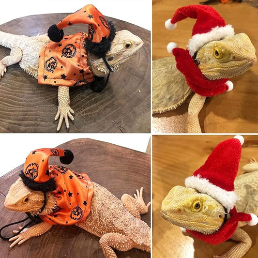 ADOGGYGO Bearded Dragon Halloween Hat Cloak Lizard Christmas Hat Scarf Set, Small Animal Halloween Christmas Festival Costume (Halloween & Xmas) ADOGGYGO