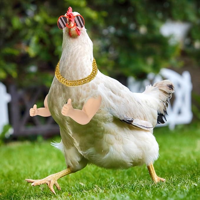 Extguds Thumb up Chicken arms,a Funny Chicken arm Toy with Chicken Peepers and Chicken Necklace,a Set of Pet Prank Role-Playing Costumes Extguds