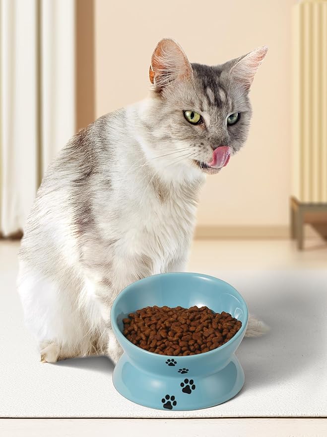 Y YHY Elevated Cat Food Bowl, Ceramic Raised Cat Bowl, Tilt Angle Protect Cat's Spine, Anti Vomiting Cat Dish, Backflow Prevention, Lake Blue - PAWPICO