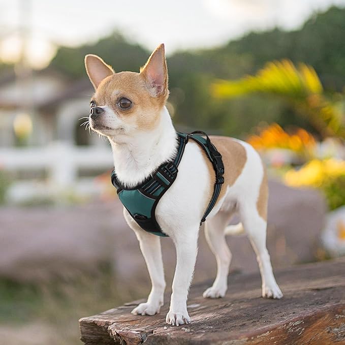 Eagloo Small Dog Harness No Pull, Service Vest with Reflective Strips and Control Handle, Adjustable and Comfortable for Easy Walking, No Choke Pet Harness with 2 Metal Rings, Dark Green, XS GoExplorewithEagloo