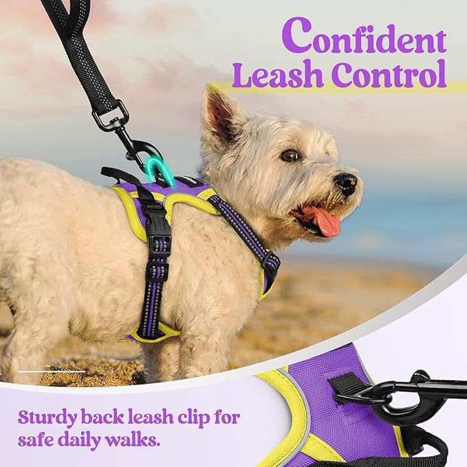 rabbitgoo Dog Harness No Pull with 2 Leash Clips, Adjustable Soft Padded, Reflective Oxford No Choke Pet Vest with Easy Control Handle for Puppy, Purple & Yellow, XS rabbitgoo