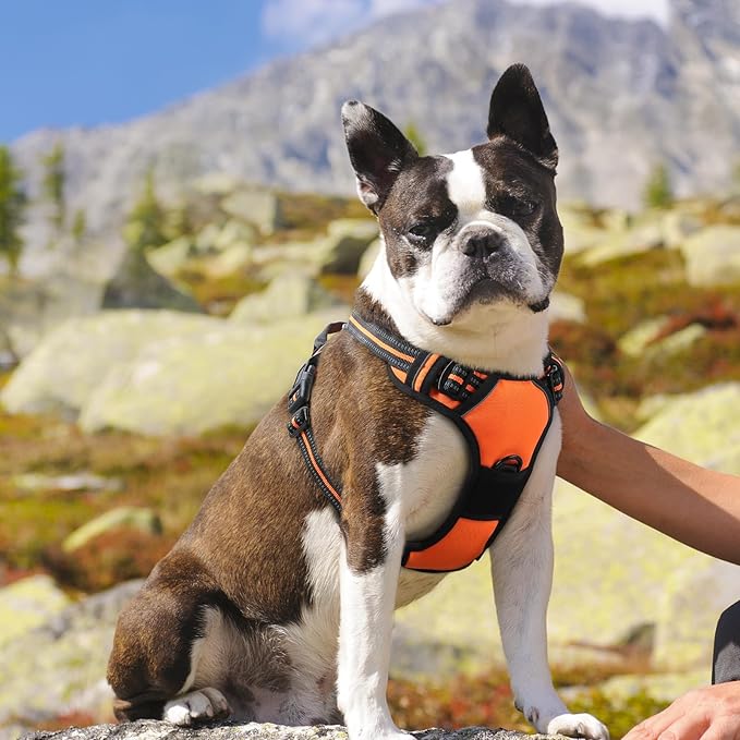 Eagloo Dog Harness Medium Sized Dog, No Pull Service Vest with Reflective Strips and Control Handle, Adjustable and Comfortable for Easy Walking, No Choke Pet Harness with 2 Metal Rings, Orange, M GoExplorewithEagloo