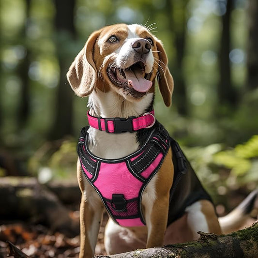 Joytale Reflective Dog Collar,Soft Neoprene Padded Breathable Nylon Pet Collar Adjustable for Small Dogs,Hotpink,S - PAWPICO