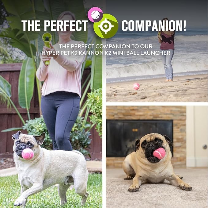 Hyper Pet MINI Tennis Balls for Dogs (Pet Safe Dog Ball Dog Tennis Balls for Exercise & Training) Dog Ball Interactive Dog Toys work with Hyper Pet K9 Kannon MINI Dog Ball Launcher - 4 Pack MINI Pink - PAWPICO