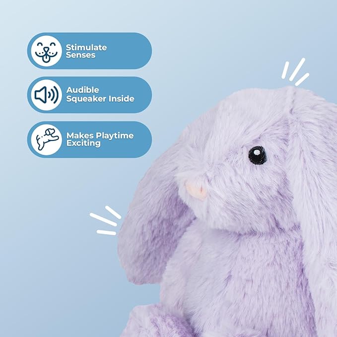 Best Pet Supplies Interactive Bunny Buddy Dog Toy with Crinkle and Squeaky Enrichment for Small and Medium Breed Puppies or Dogs, Cute and Plush - Bunny (Purple), Small - PAWPICO