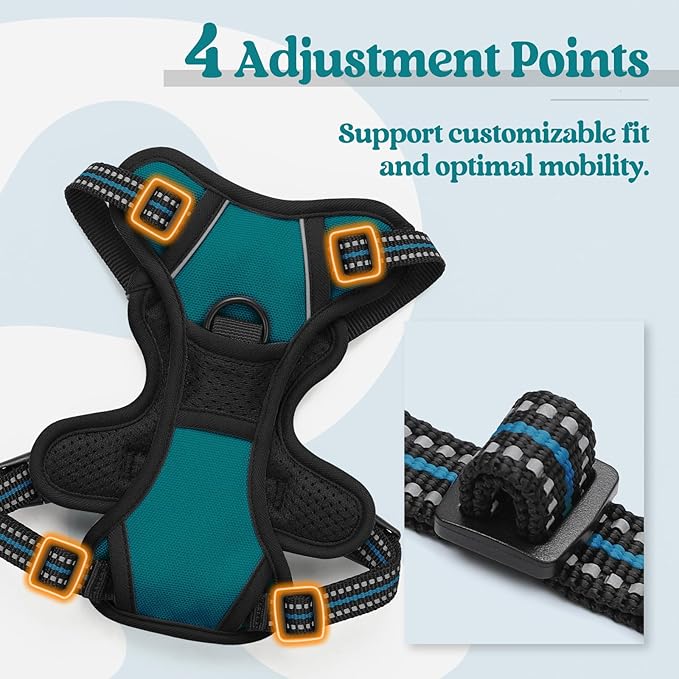 rabbitgoo Dog Harness No Pull with 2 Leash Clips, Adjustable Soft Padded, Reflective Oxford No Choke Pet Vest with Easy Control Handle for Puppy, Blue Coral, XS rabbitgoo