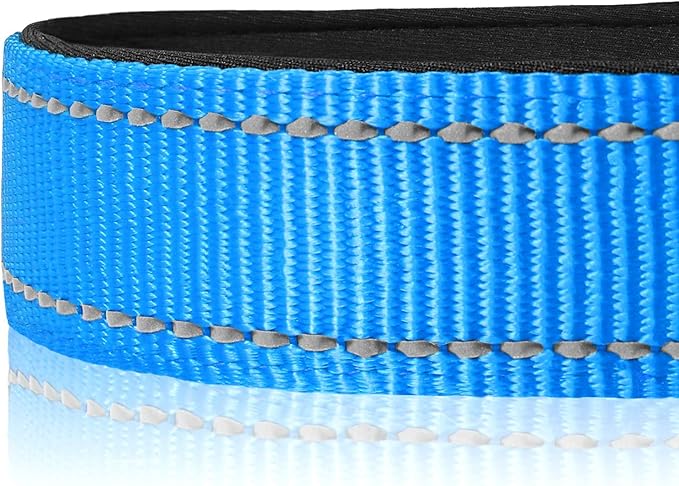 Joytale Reflective Dog Collar,Soft Neoprene Padded Breathable Nylon Pet Collar Adjustable for Small Dogs,Sky Blue,S - PAWPICO