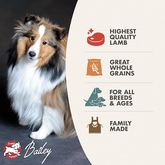 Fromm Four-Star Nutritionals Zealambder Dog Food - Premium Dry Dog Food - Lamb Recipe - 26 lb - PAWPICO