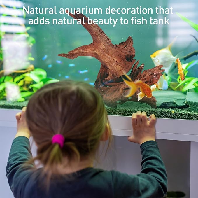 WDEFUN Natural Extral Large Driftwood for Aquarium Decor, 2-Piece 14''-18'' Driftwood for Decorations on Fish Tank, Reptiles Bearded Dragon Accessories or Air Plants WDEFUN