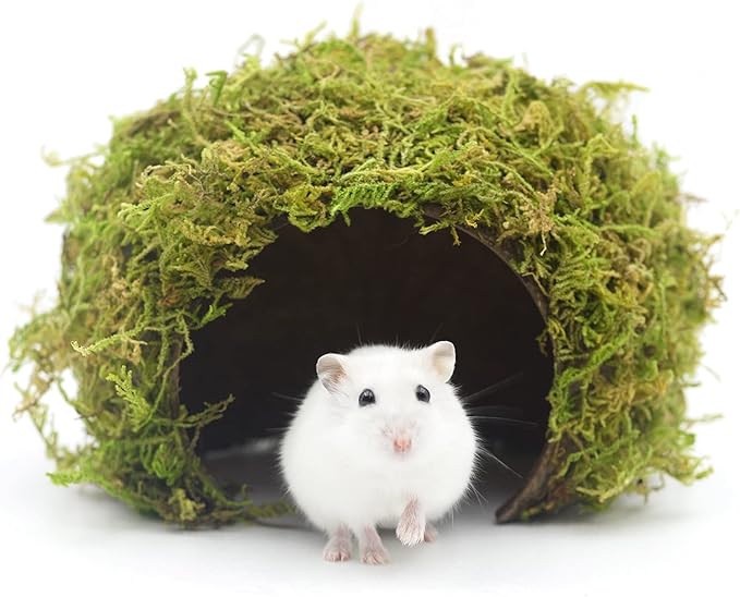 Hamster Hideaway,Hamster Hideout,Mossy Cave Hide,Hamster House/Hides,Hamster Cage Accessories for Gguinea Pig/Hedgehogs/Gliders/Rats/Mice and Other Small Animals (Large) SanmooAio