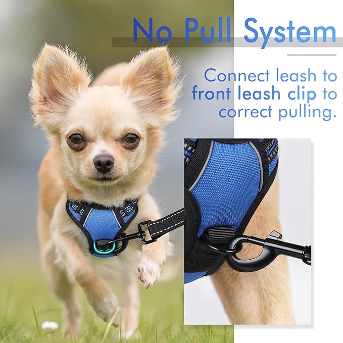 rabbitgoo Dog Harness, No-Pull Pet Harness with 2 Leash Clips, Adjustable Soft Padded Dog Vest, Reflective No-Choke Pet Oxford Vest with Easy Control Handle for Small Dogs, Dazzling Blue,XS - PAWPICO