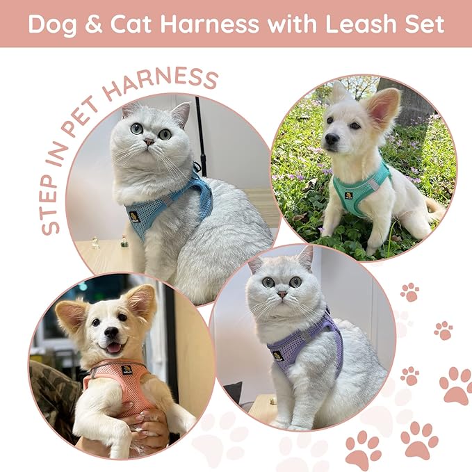 BELLA & PAL Puppy Harness with Leash Set, Dog Harness for Small Dogs No Pull, Dog Leash for Small Dogs, Step in Harness for Extra Small Dogs, Pink Harness, XXS BELLAPAL