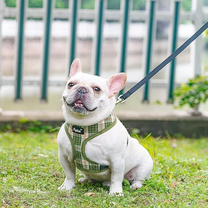 PUPTECK Soft Mesh Dog Harness and Leash Set Pet Puppy Cat Comfort Padded Vest No Pull Harnesses, Olive Green, S PUPTECK