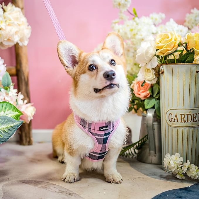 SCENEREAL Puppy Dog Harness with Leash Set for Small Medium Sized Dogs, Soft Mesh Step in Pet Harnesses and Leash, No Chock Plaid Adjustible No Pull Vest for Dogs Cats, Chihuahua,Bulldog (Pink XS) - PAWPICO