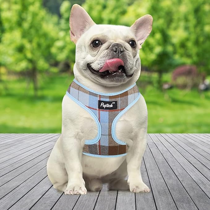 PUPTECK Soft Mesh Dog Harness and Leash Set Pet Puppy Cat Comfort Padded Vest No Pull Harnesses, Blue&Brown, M PUPTECK