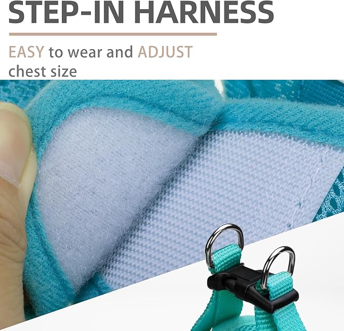 PUPTECK Adjustable Dog Harness Collar and Leash Set Step in No Pull Pet Harness for Small Medium Dogs Puppy and Cats Outdoor Walking Running, Soft Mesh Padded Reflective Vest Harnesses, Turquoise S PUPTECK