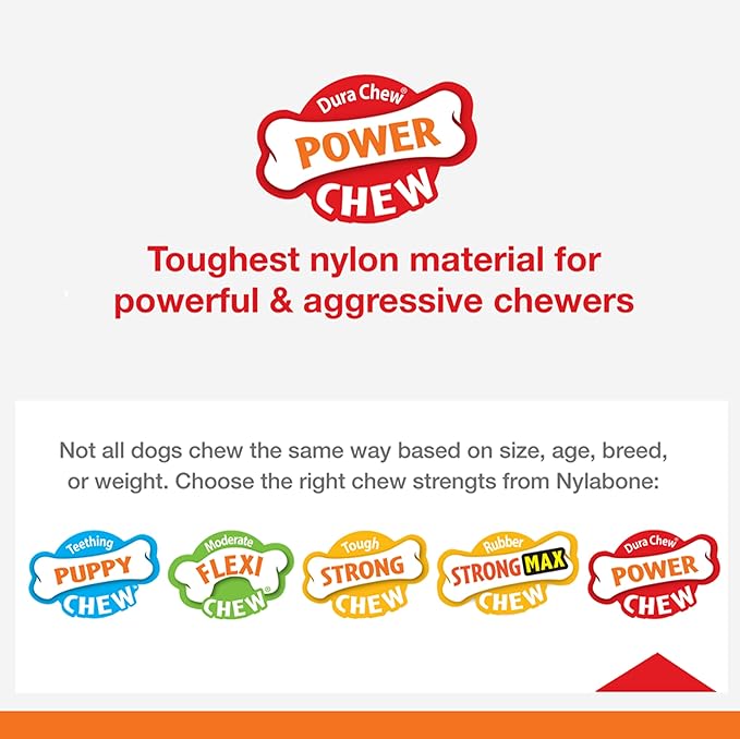 Nylabone Power Chew Classic Bone Chew Toy for Dogs, Durable Dog Toys for Aggressive Chewers, Variety Pack, Regular - Up to 25 Ibs. (3 Count) - PAWPICO